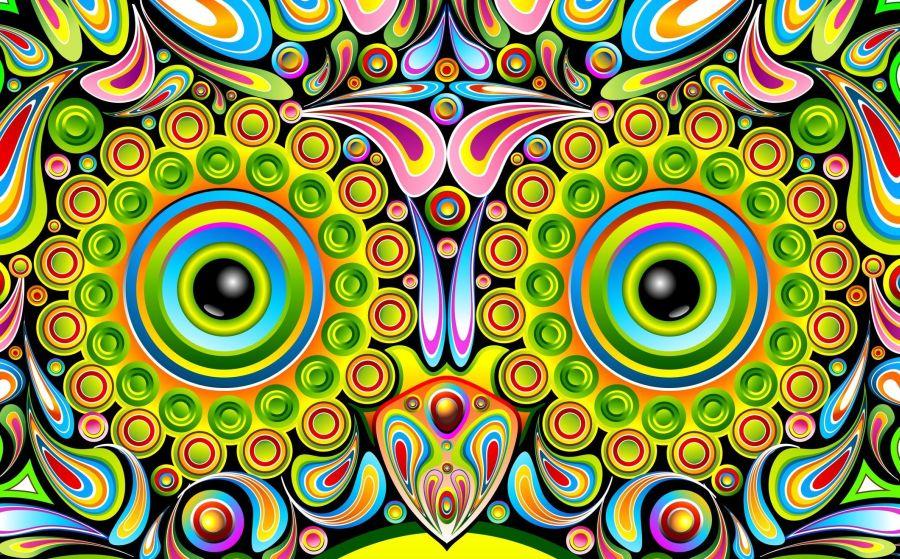 Owl Psychedelic Pop Art Design-Gufo Psichedelico Decorativo